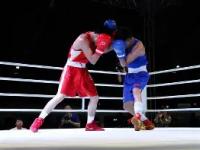 开云网站平台 -包含拳击夜战：江畔灰熊队读秒扳平庐州貔貅队，主帅临场妙招黑马成最大惊喜的词条