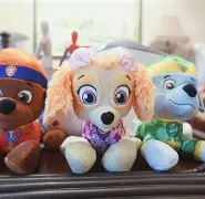 及想仸13453-开云链接入口